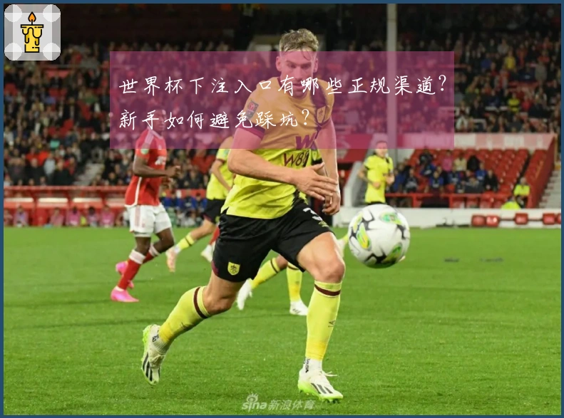世界杯下注入口有哪些正规渠道？新手如何避免踩坑？
