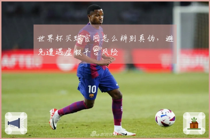 世界杯买球官网怎么辨别真伪，避免遭遇虚假平台风险