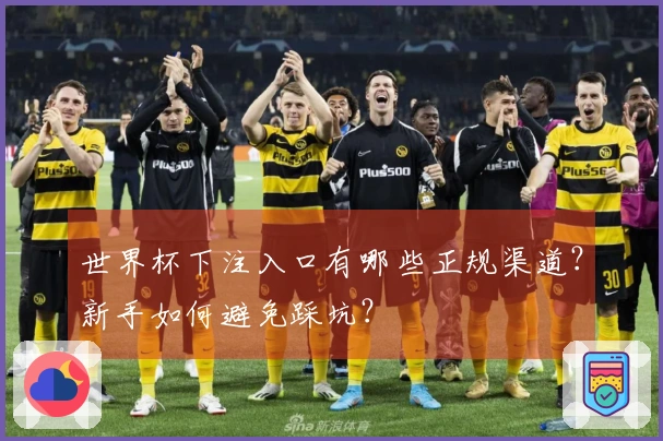 世界杯下注入口有哪些正规渠道？新手如何避免踩坑？